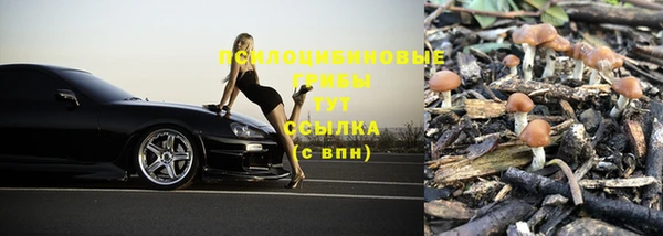 стаф Абинск