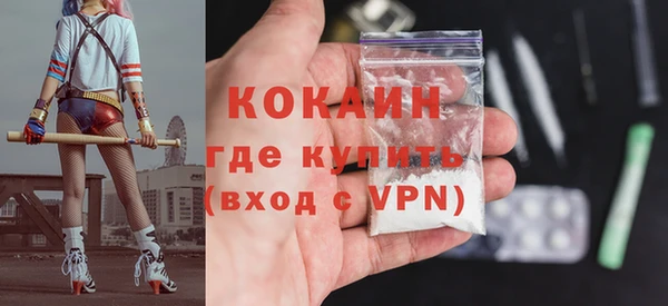 мдпв Осташков