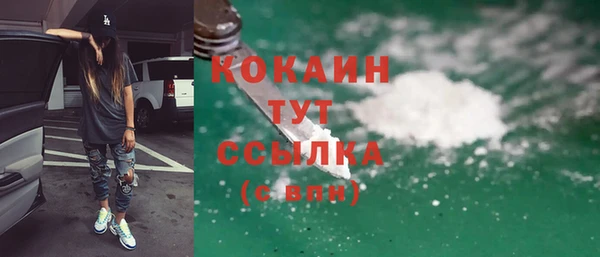 мдпв Осташков