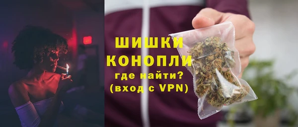 мдпв Осташков