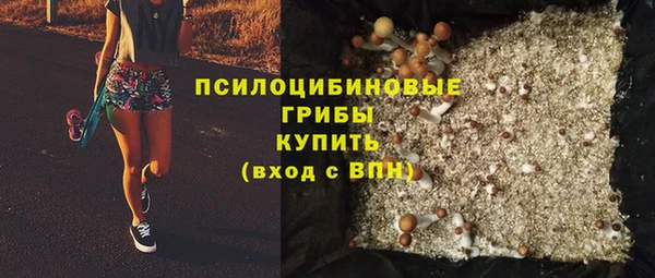 шишки Абдулино