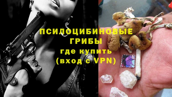 шишки Абдулино